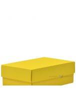 Kartoninė dėžutės viršutinė dalis geltona sp 170x110x60mm M