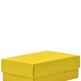 Kartoninė dėžutės viršutinė dalis geltona sp 170x110x60mm M